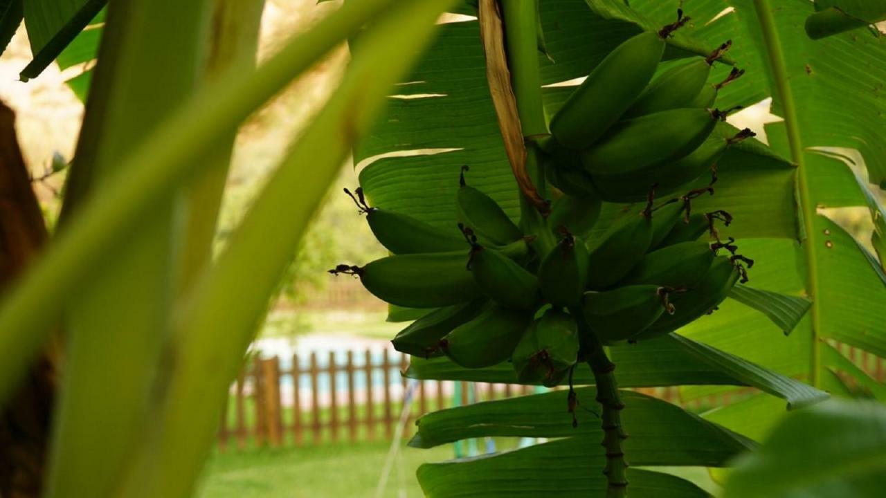 אורגיווה Villa Tropical Slow מראה חיצוני תמונה